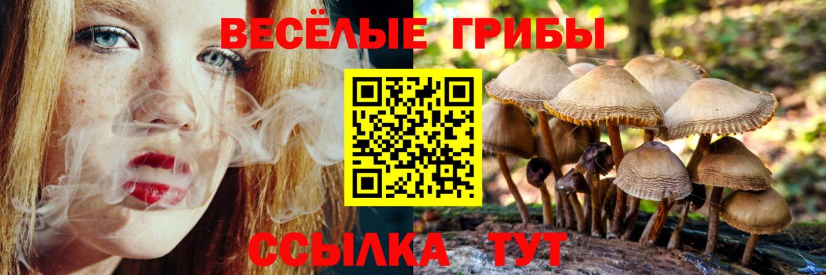 хочу   Вход с VPN  Галлюциногенные грибы Psilocybe  Семёнов  Псилоцибиновые грибы GOLDEN TEACHER 